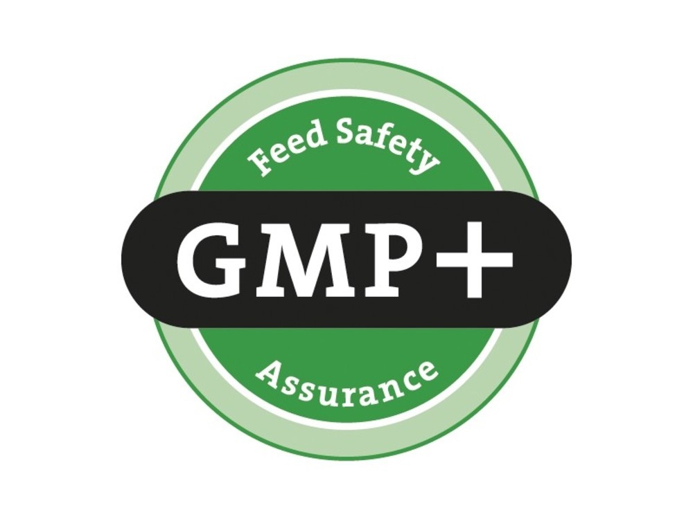 gmp feed safety assurance